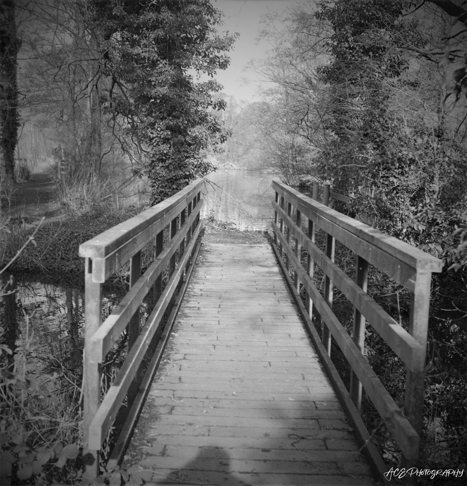 The footbridge to the future